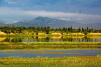 带上妈妈一起去旅行 让心灵回归自然