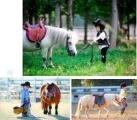 神奇动物在哪里?童心撞地球,麓湖郡六一欢乐萌宠空降