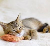 家居用品也有保质期?你家这些东西早该扔了!