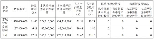 新城控股：富域发展质押1.1亿股公司股份 占总股本的4.87%-中国网地产