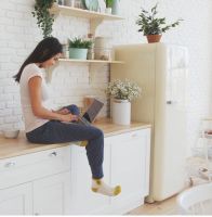 始于颜值，终于实力！实名晒出我的HCK哈士奇复古冰箱！