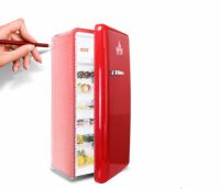 始于颜值，终于实力！实名晒出我的HCK哈士奇复古冰箱！