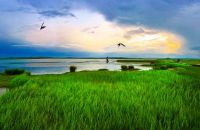 霸屏央视黄金档！滨海恒大文化旅游城获全球数亿人瞩目