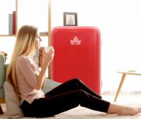 HCK哈士奇复古小冰箱，诠释高品味的优雅生活！