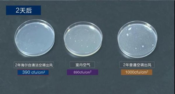 中科院细菌实验揭秘：夏天不敢乱开空调，原因都在这了