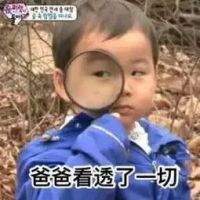 买了铺子，成了炮灰