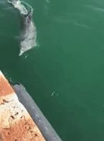 【宏绣】世界环境日——一个负氧离子的自白