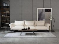 携手陆毅 尚驰逆势征战健康家居新蓝海