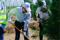 为地球充植，大自然家居第24片公益生态林落地雄安新区