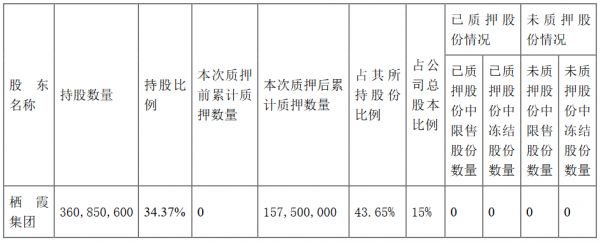栖霞建设：栖霞集团质押1.57亿股公司股份 占总股本的15%-中国网地产