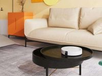 坚果G9值得买吗，值不值得买？和当贝投影D1对比谁性价比