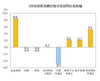 统计局：2020年5月CPI同比上涨2.4% 居住价格同比下降0.5%