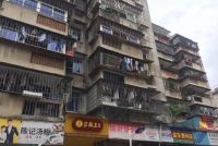 没有学区房,深圳孩子可能连高中都难上