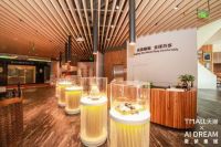 愛梦集团与天猫达成新零售合作，金可儿的这些服务升级与