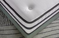 全友“云之垫”不到1000元：99%高效防螨，泰国乳胶原液填