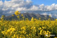 M2突破210万亿，多地卖地井喷，房企加速分化