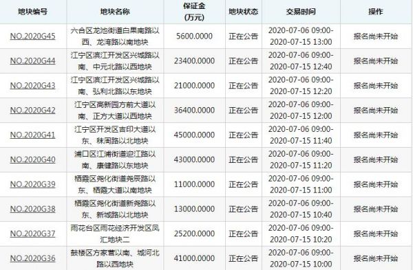 南京132.3亿元挂牌10宗地块-中国网地产