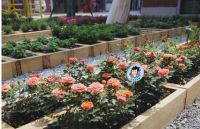 创邑社趣更馨：都市美好乐园邀你共创向往的生活