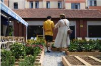 创邑社趣更馨：都市美好乐园邀你共创向往的生活