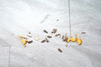 地面清洁实力派，美的扫拖机器人M7让家务如此轻松