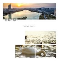 弘阳服务-告别”两个胖胖“,这里是名副其实的霸都