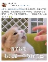 毕业后租房三大愿望，自如海燕计划一一实现