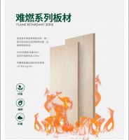 兔宝宝公证检测“楚河金茂府”，助推品质精装，绽放家之理想