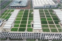 超出你想象！揭秘重庆最大屋顶菜园