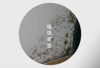 梅雨季远离霉心情