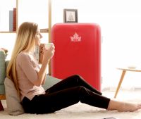 小资青年的最爱！HCK哈士奇冰箱教您打造高颜值的家