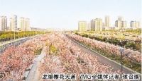 烟台正奋力迈向现代化国际滨海城市 变大变美变靓