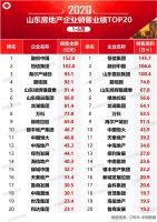 2020年上半年山东房地产企业销售业绩排行榜