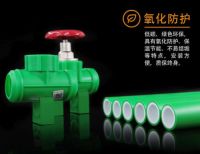 金德管业新品上市|绿色家园，PPR生态管