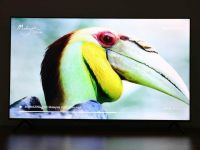 智能电视如何挑选？性能与品质缺一不可