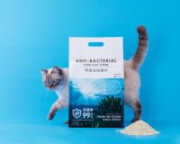 毛球殿下获得新一轮百万级融资 99%抑菌猫砂引领养宠风潮