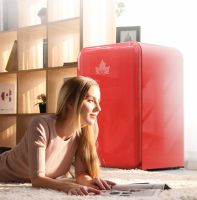 HCK哈士奇冰箱，缔造属于你的精致生活!