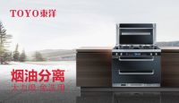 TOYO东洋集成灶：智能厨电生活，筑梦理想厨房