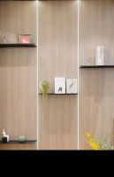 奥普全功能阳台成为直播达人的生活新秀场