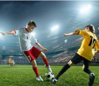 荣耀智慧屏升级生活品质 大屏无广告投屏有绝招