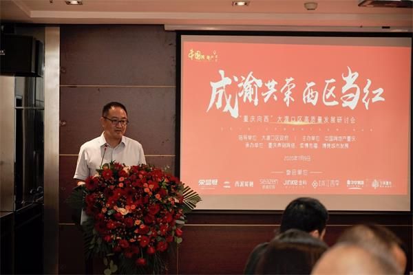 政企学界大咖“拍了拍”大渡口 论道区域高质量发展-中国网地产