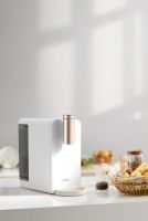 老罗搭档安利他飞利浦净化即热一体机