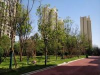 德重铝木门窗型材注定成为第二十二届建博会的一匹黑马