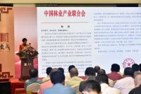 东成红木文化馆揭幕 集聚经典展示传统文化魅力