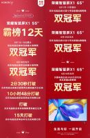 荣耀智慧屏推出一周年重塑行业格局 开启大屏新时代