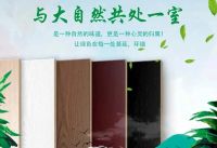 生态板十大品牌选百的宝板材,让幸福翻倍!