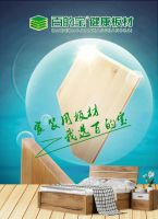 生态板十大品牌选百的宝板材,让幸福翻倍!