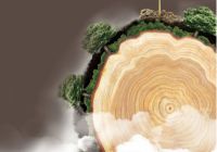 澳思柏恩致力于绿色环保智造,打造高端健康家居品牌!