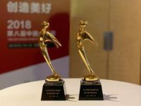 【杭州艺星】#第八届中国公益节#连续4年艺星再获&ldquo;责任品牌奖