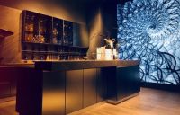 低美感社会的审美迷失： 寻找法尼尼