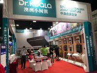 乘风破浪，“澳洲小树熊”洛阳家博会一鸣惊人